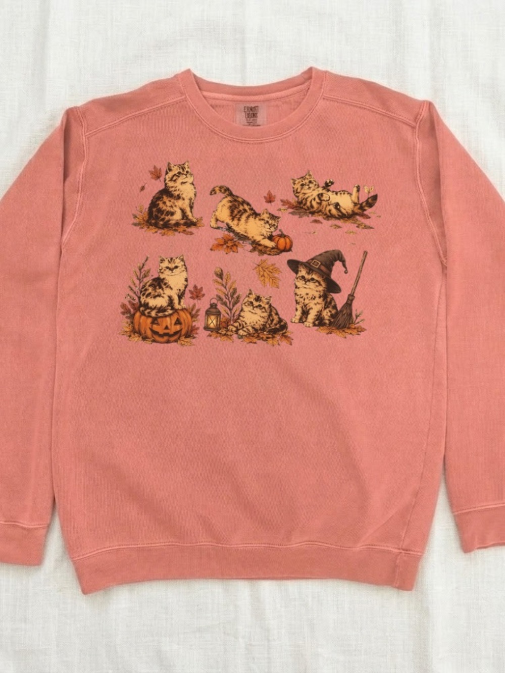 Comfort Colors Pumpkin Cat Fall Autumn Graphic Sweatshirt - Picture 2 of 3